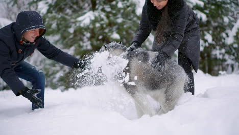 Man-and-woman-have-fun-walking-with-Siberian-husky-in-winter-forest-playing-and-throwing-snow